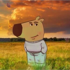 Meet your Posher, Yvann